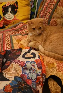 Leentje 03 Compositie in Rood